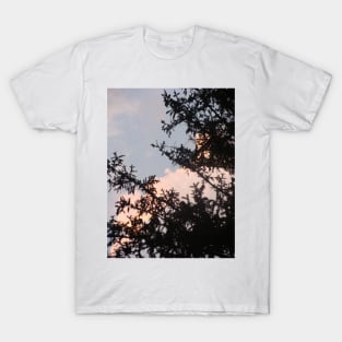 Pine and Sky T-Shirt